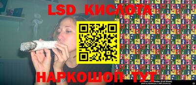 ПСИЛОЦИБИНОВЫЕ ГРИБЫ Боровичи