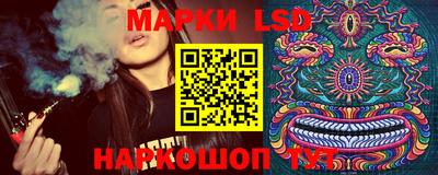 индика Брянск