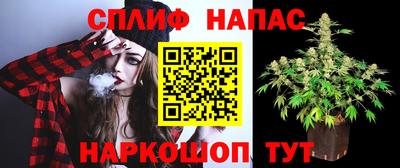 ПСИЛОЦИБИНОВЫЕ ГРИБЫ Боровичи