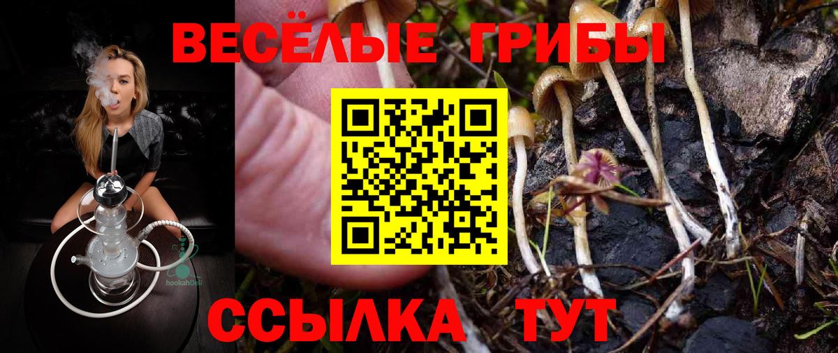 как найти закладки  Галлюциногенные грибы Magic Shrooms  Вход с VPN  Гулькевичи 